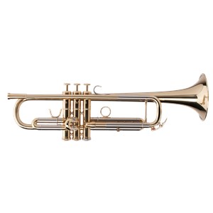 Trumpet Adams Custom Serie A3, Lack