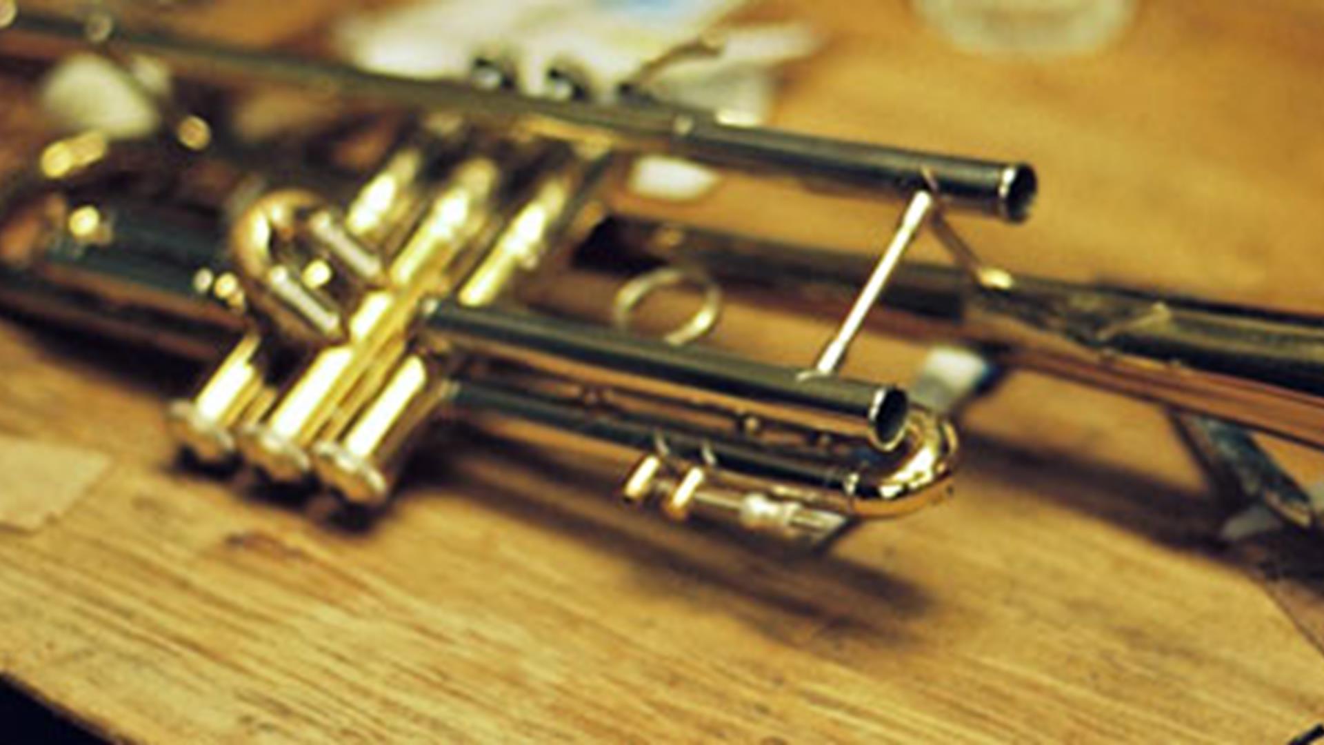 Så tar du hand om ditt brassinstrument
