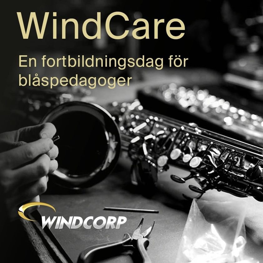 WindCare - Malmö Kulturskola